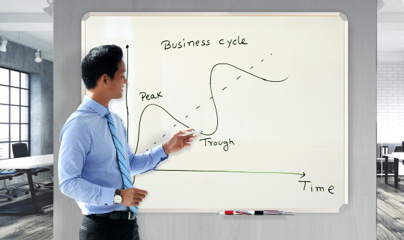 Parrot Magnetic Whiteboards - Interactive and Versatile Learning Solutions